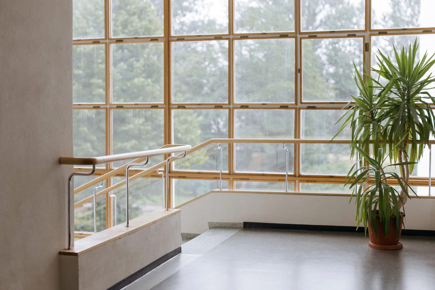 Glazed office building with lit interiors seen from outside at dusk